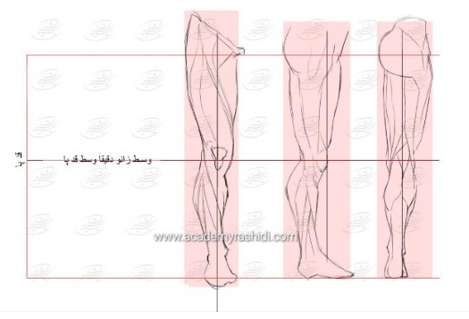 آموزش طراحی آناتومی ران تا ساق پا انسان