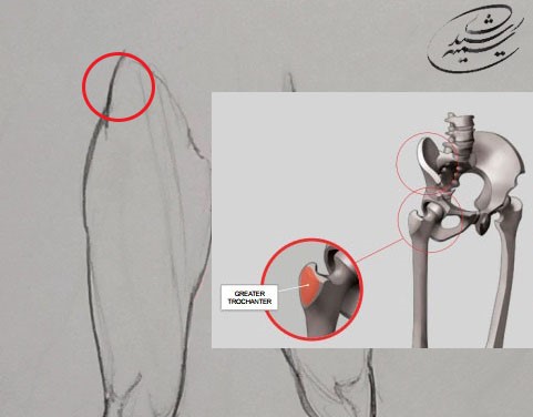 آموزش طراحی آناتومی ران تا ساق پا انسان