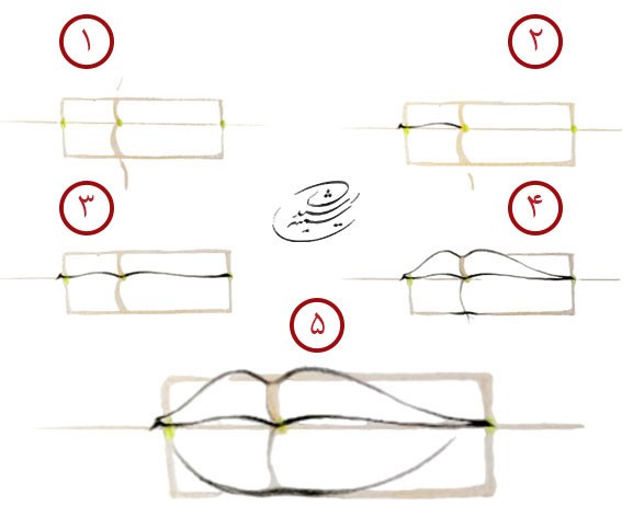 آموزش طراحی آناتومی لب