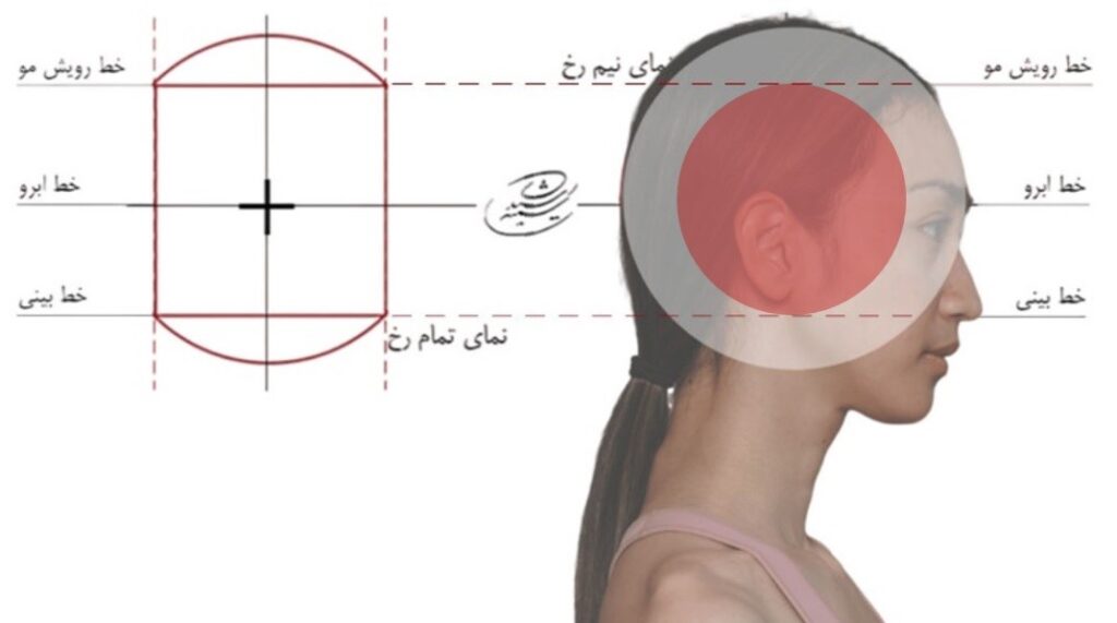 آموزش طراحی آناتومی چهره از نمای نیم رخ