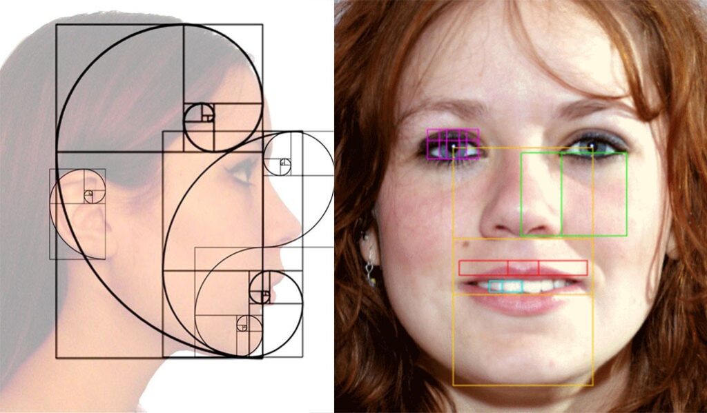 تناسبات طلایی در طراحی آناتومی چهره