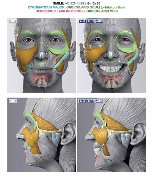 آموزش طراحی آناتومی حالت های چهره