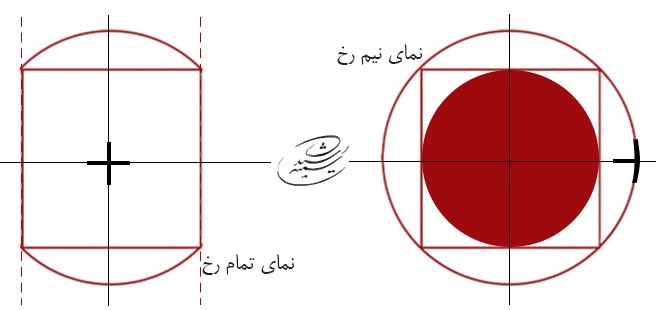 آموزش طراحی آناتومی چهره از نمای نیم رخ