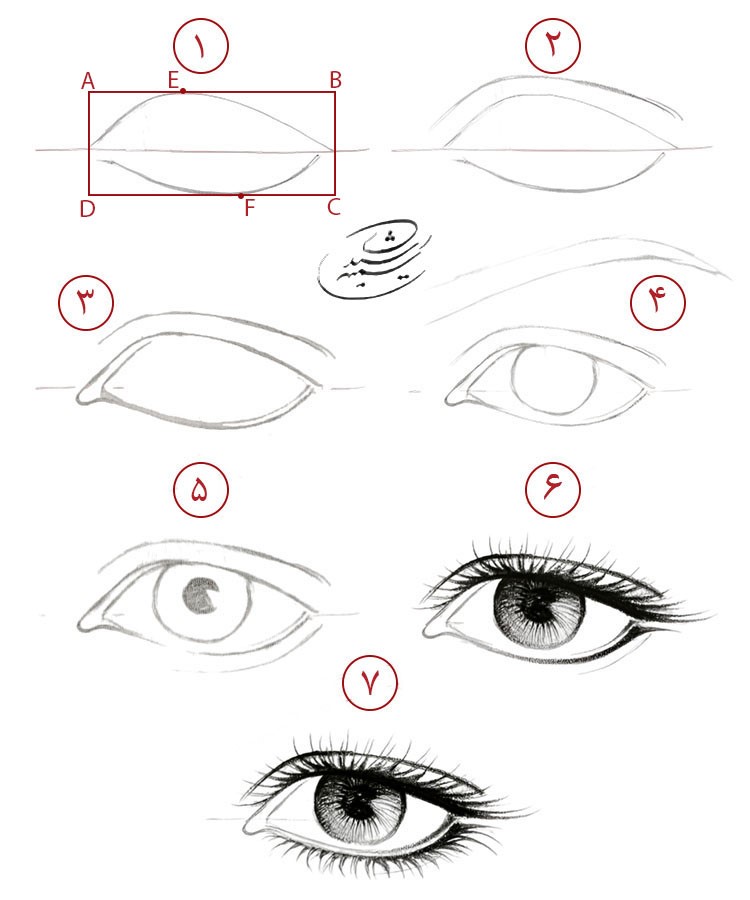آموزش طراحی آناتومی چشم