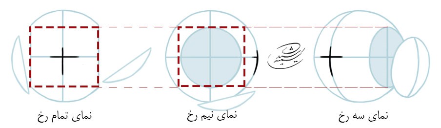 آموزش طراحی آناتومی چهره از نمای سه رخ