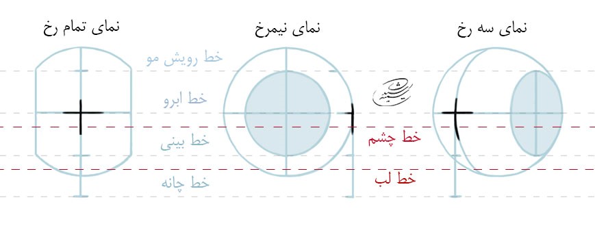 آموزش طراحی آناتومی چهره از نمای سه رخ