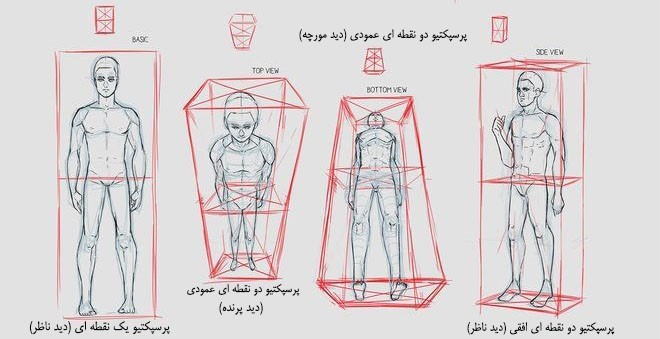 نقش پرسپکتیو در طراحی آناتومی و معرفی این هنر