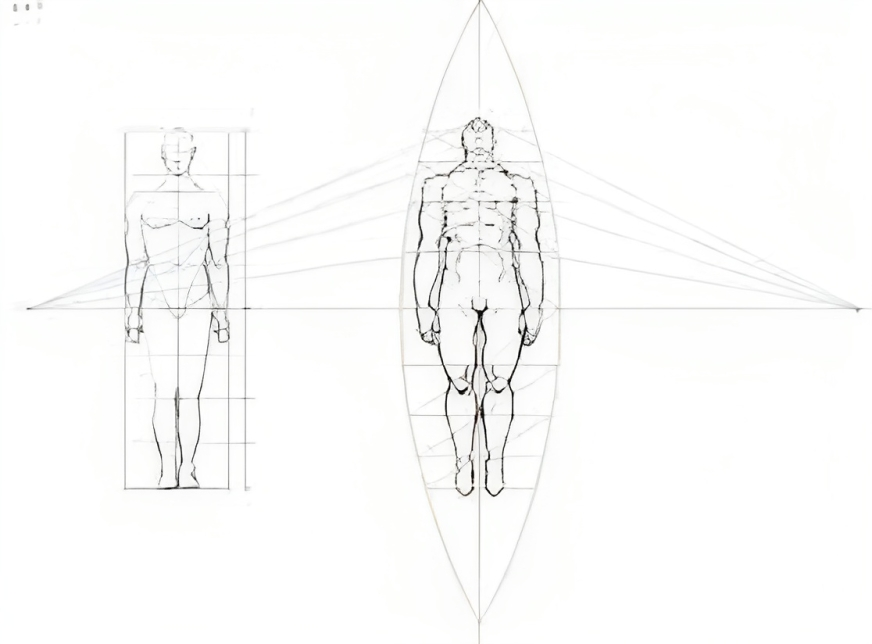 نقش پرسپکتیو در طراحی آناتومی و معرفی این هنر