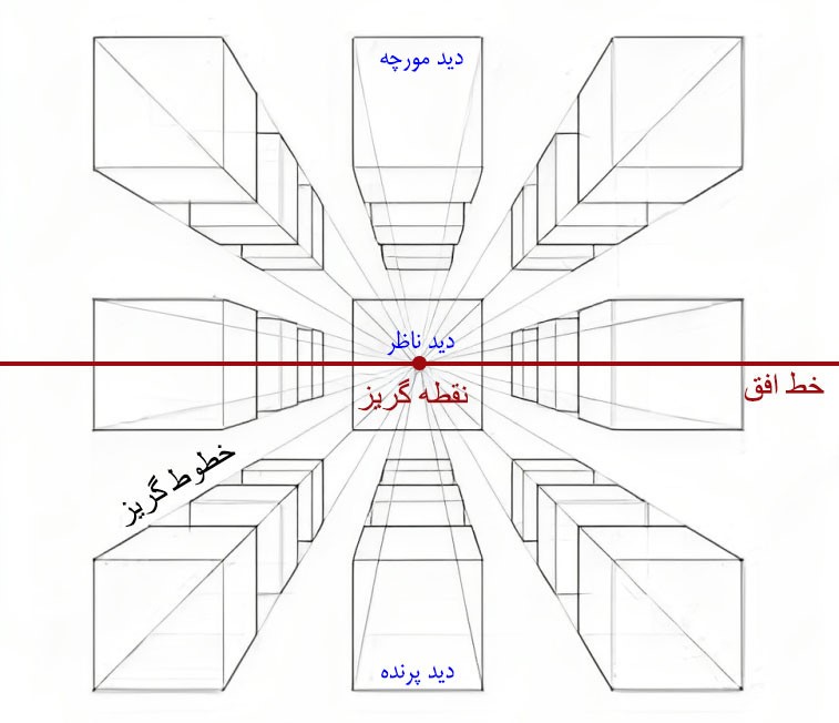 نقش پرسپکتیو در طراحی آناتومی و معرفی این هنر